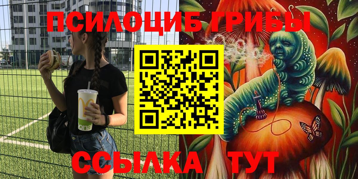 Псилоцибиновые грибы Cubensis  Псилоцибиновые грибы Psilocybine cubensis  Краснознаменск  Вход с VPN 