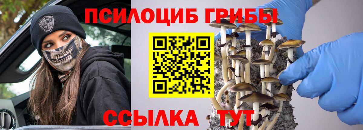 Псилоцибиновые грибы прущие грибы Краснознаменск